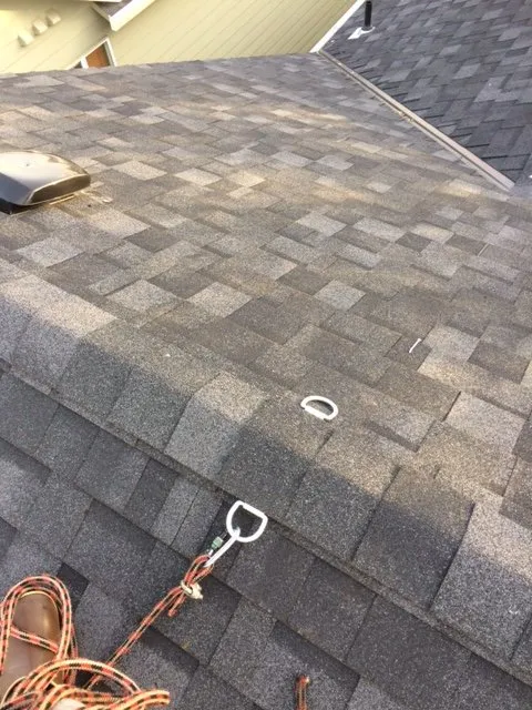 Slide of JNR Roof Cleaning and Maintenance