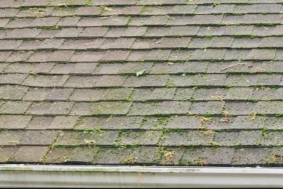 Slide of JNS Construction