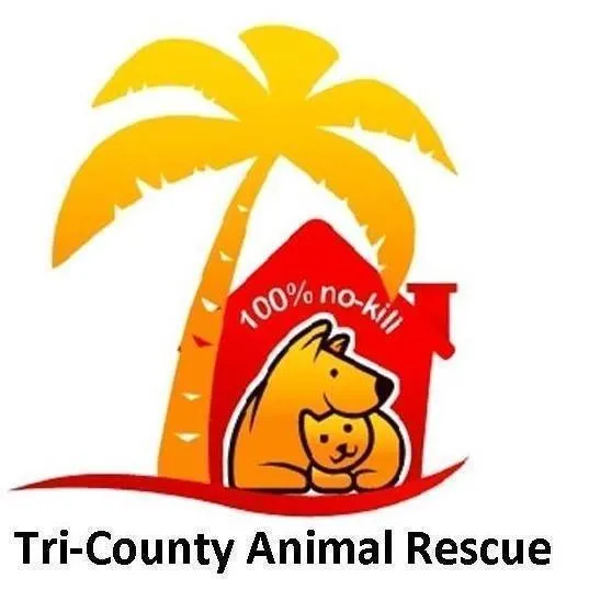 Slide of Joe Ward Roofing