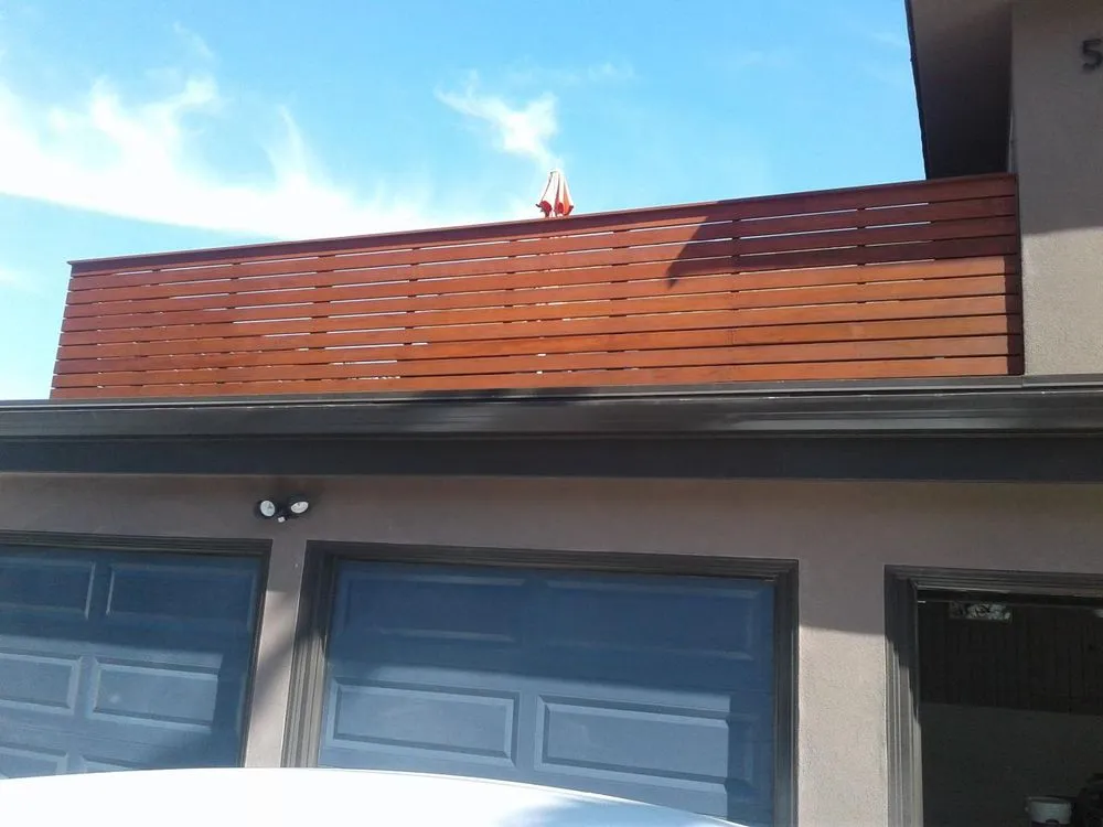 Slide of Joel Painting