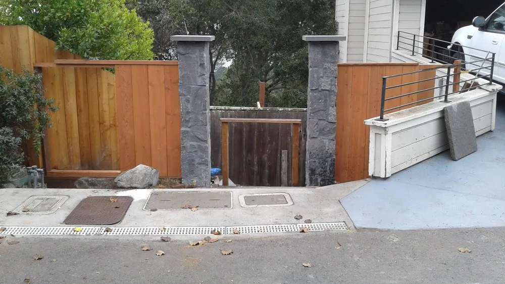 Slide of Joel Painting