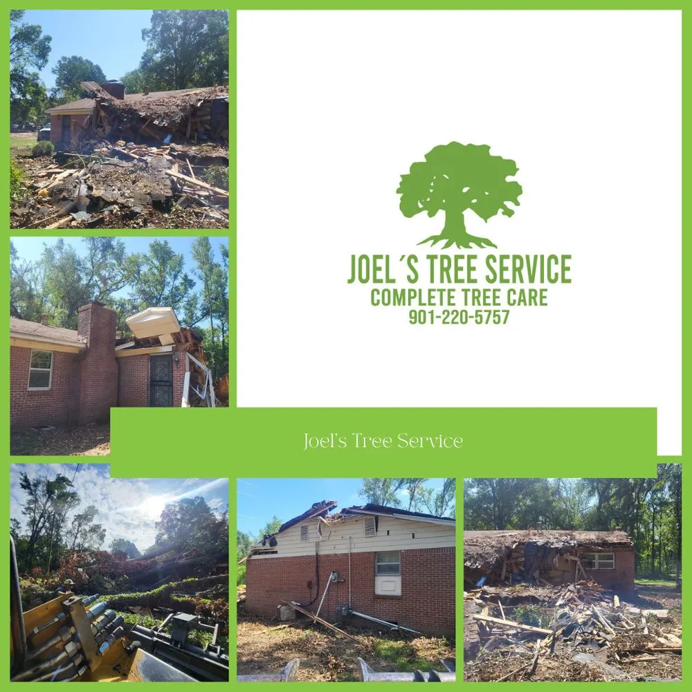 Slide of Joel´s Tree Services
