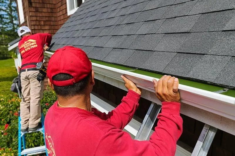 Slide of Joel´s Tree Services