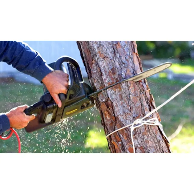 Slide of Joel´s Tree Services