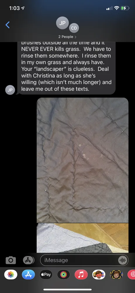 Slide of Joe's Painting