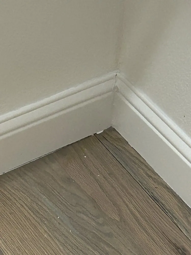 Slide of Joe's Painting