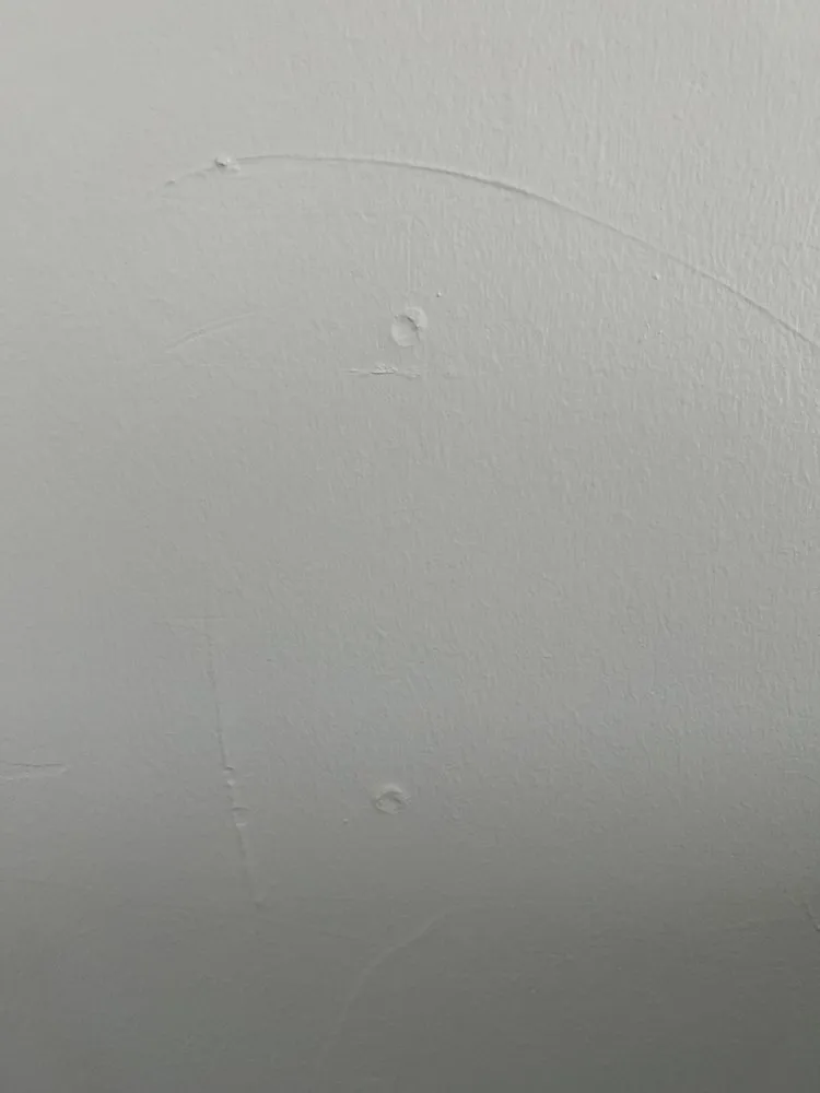 Slide of Joe's Painting