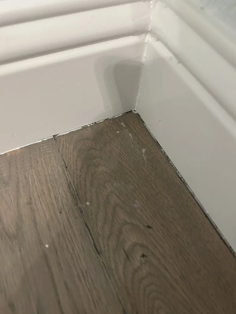 Slide of Joe's Painting