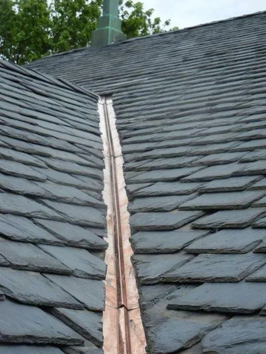 Slide of Joey Wildasin