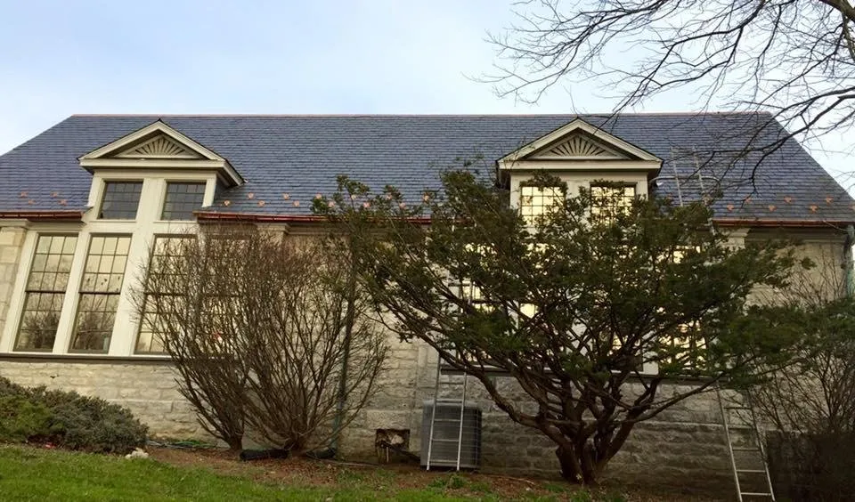 Slide of Joey Wildasin