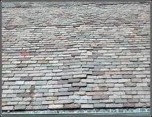 Slide of Joey Wildasin