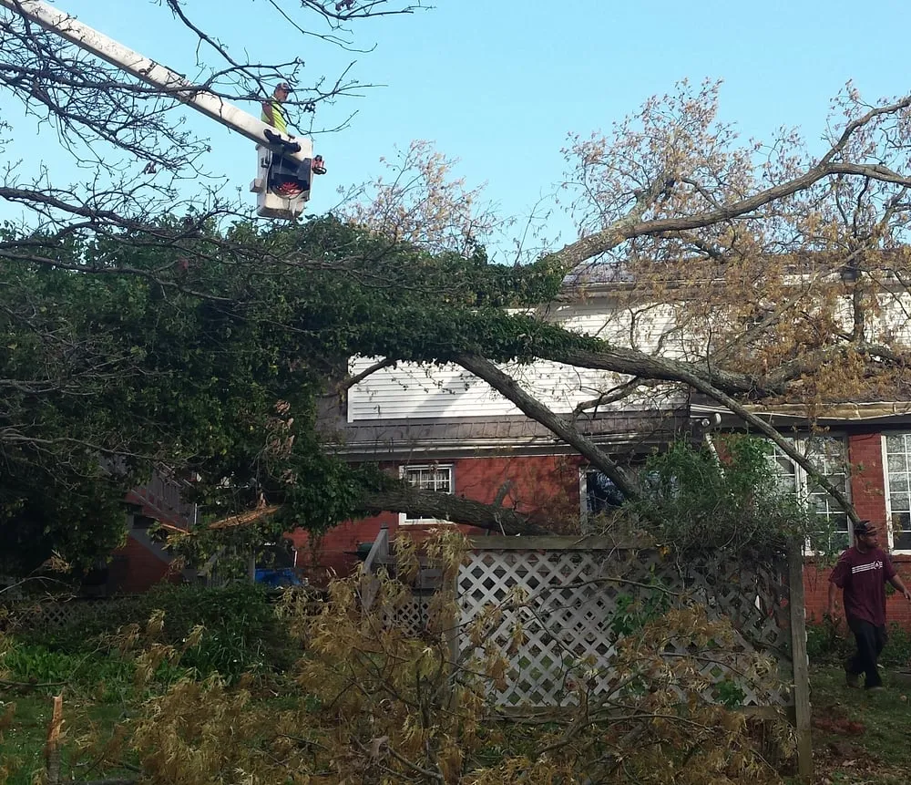 Slide of John Curtiss Roofing