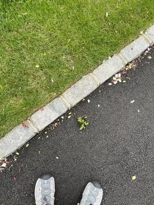 John Dominick Cusumano