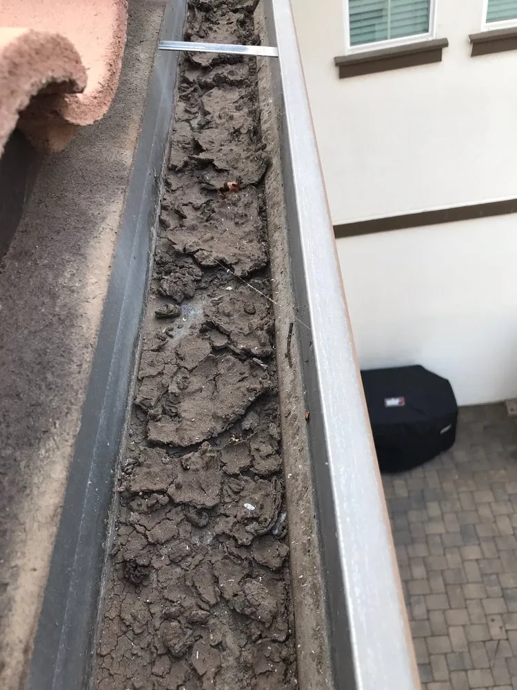 Slide of John Topete Roofing & Window Cleaning