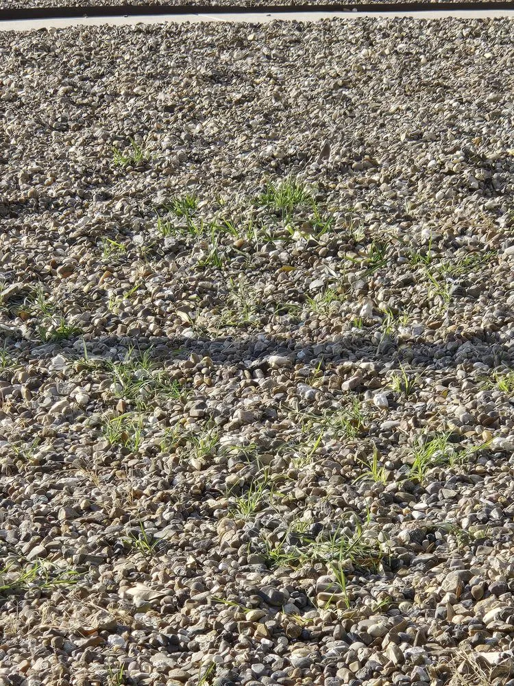 Slide of John W Shaw Paint & Remodeling