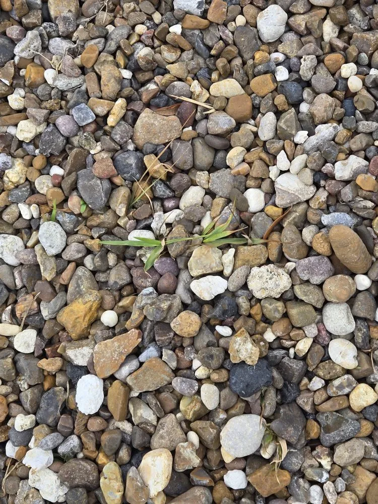 Slide of John W Shaw Paint & Remodeling