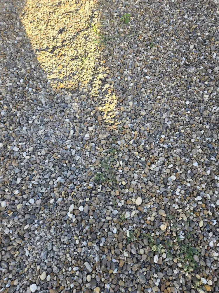 Slide of John W Shaw Paint & Remodeling