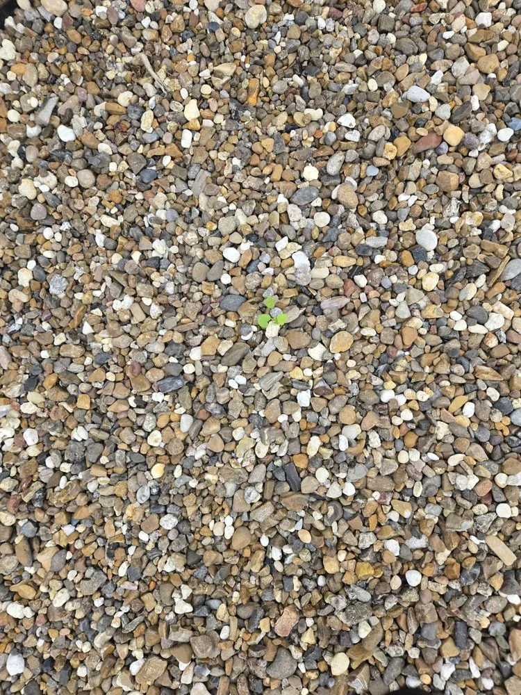 Slide of John W Shaw Paint & Remodeling