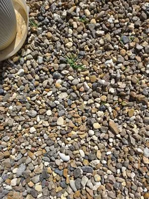 John W Shaw Paint & Remodeling Logo