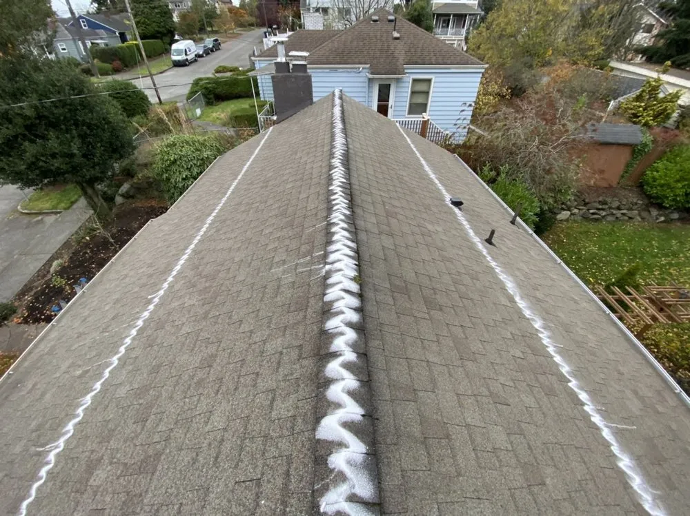 Slide of Johnny Tsunami Exterior Cleaning