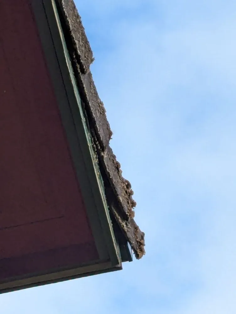 Slide of Johnny Tsunami Exterior Cleaning