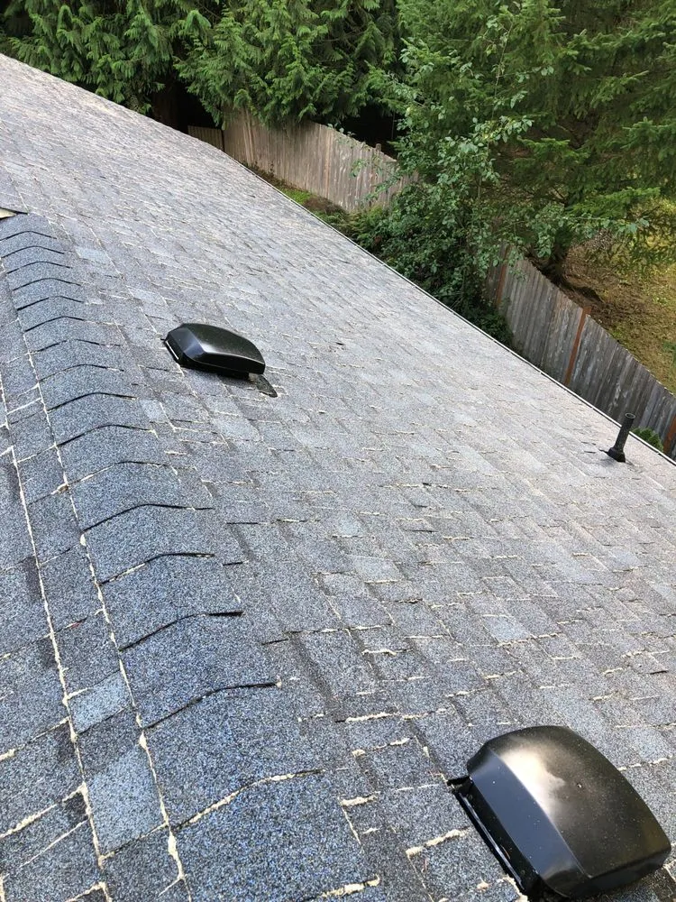 Slide of Johnny Tsunami Exterior Cleaning