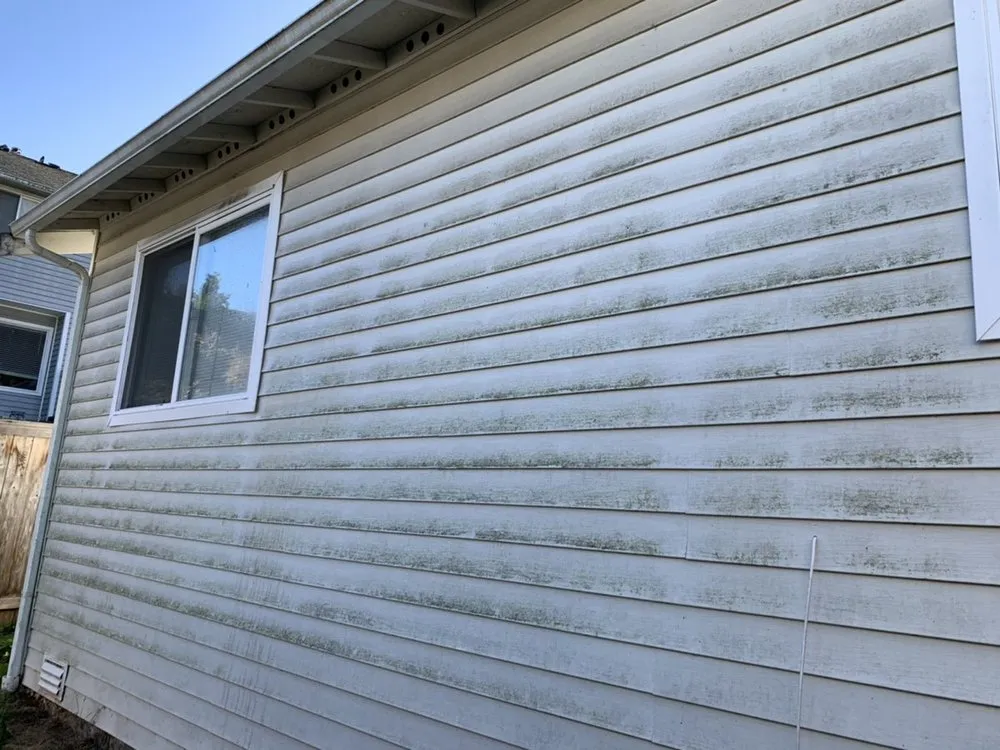 Slide of Johnny Tsunami Exterior Cleaning