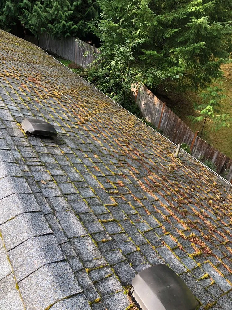 Slide of Johnny Tsunami Exterior Cleaning