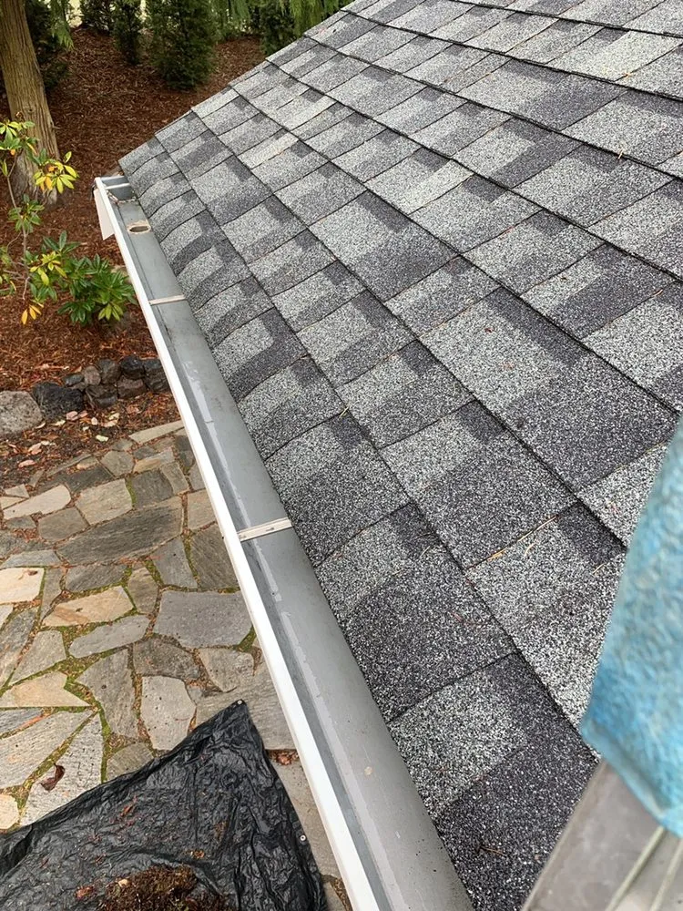 Slide of Johnny Tsunami Exterior Cleaning