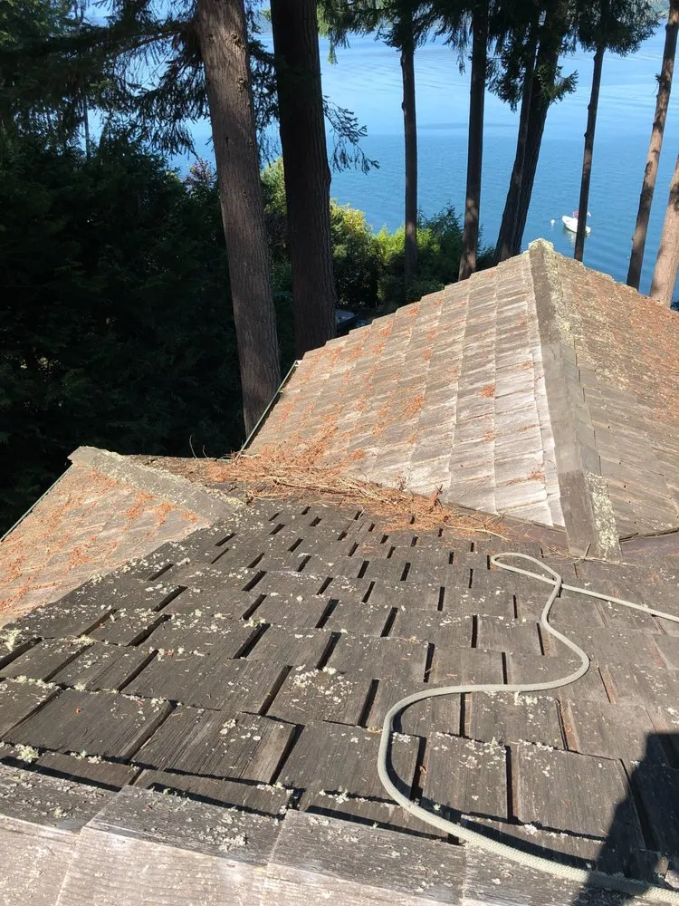 Slide of Johnny Tsunami Exterior Cleaning