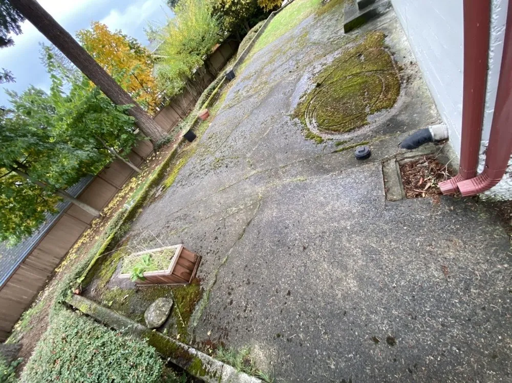 Slide of Johnny Tsunami