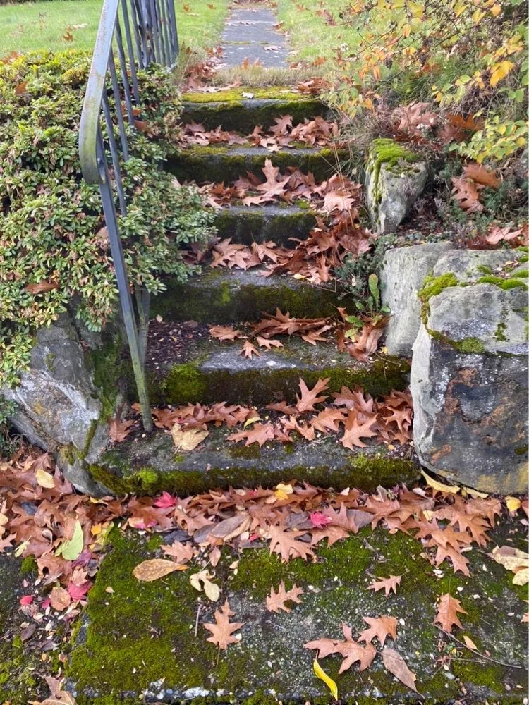 Slide of Johnny Tsunami