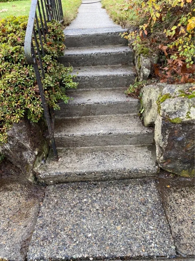 Slide of Johnny Tsunami