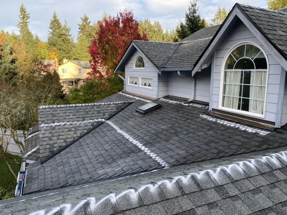 Slide of Johnny Tsunami