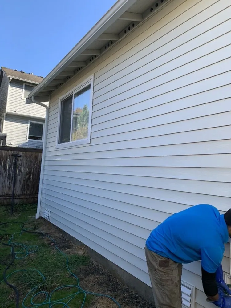 Slide of Johnny Tsunami