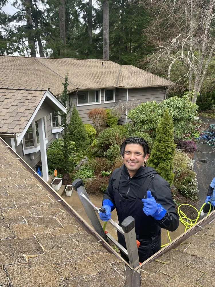 Slide of Johnny Tsunami