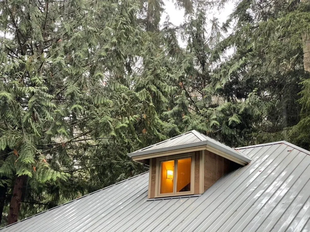 Slide of Johnny Tsunami