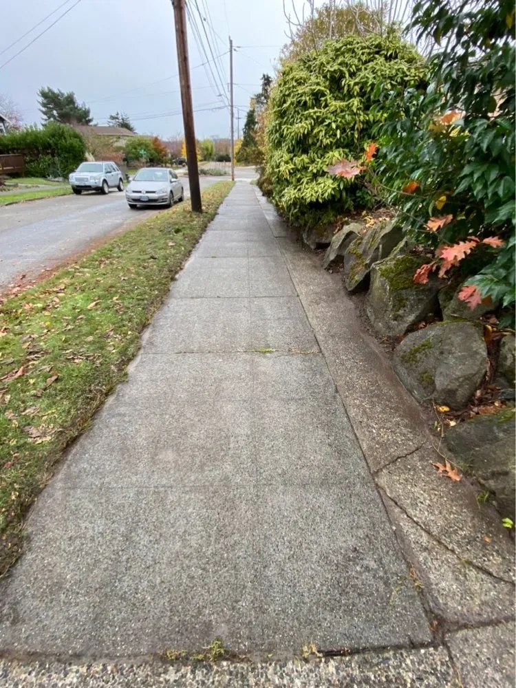 Slide of Johnny Tsunami