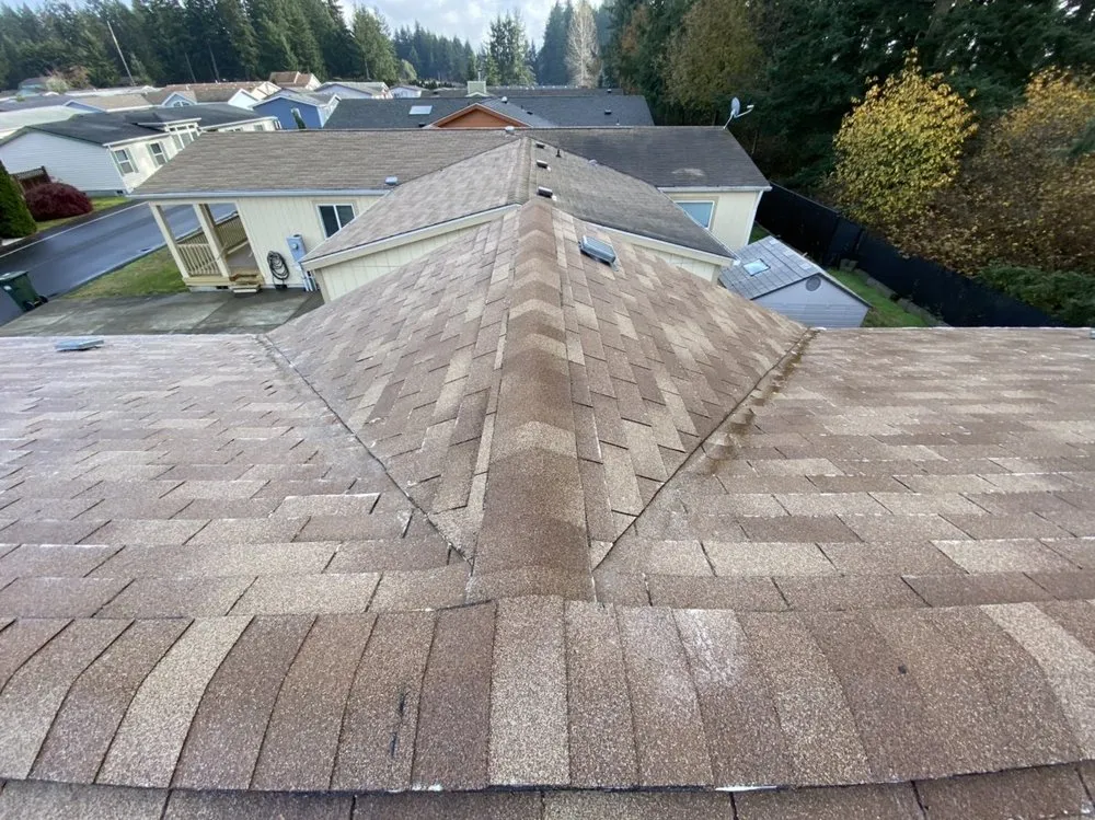 Slide of Johnny Tsunami