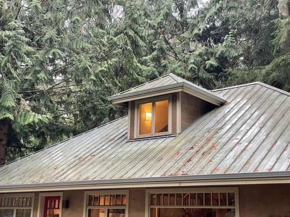 Slide of Johnny Tsunami