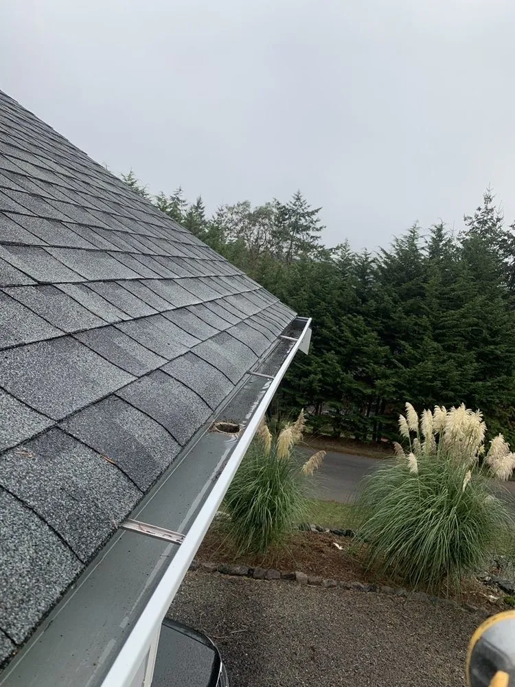 Slide of Johnny Tsunami