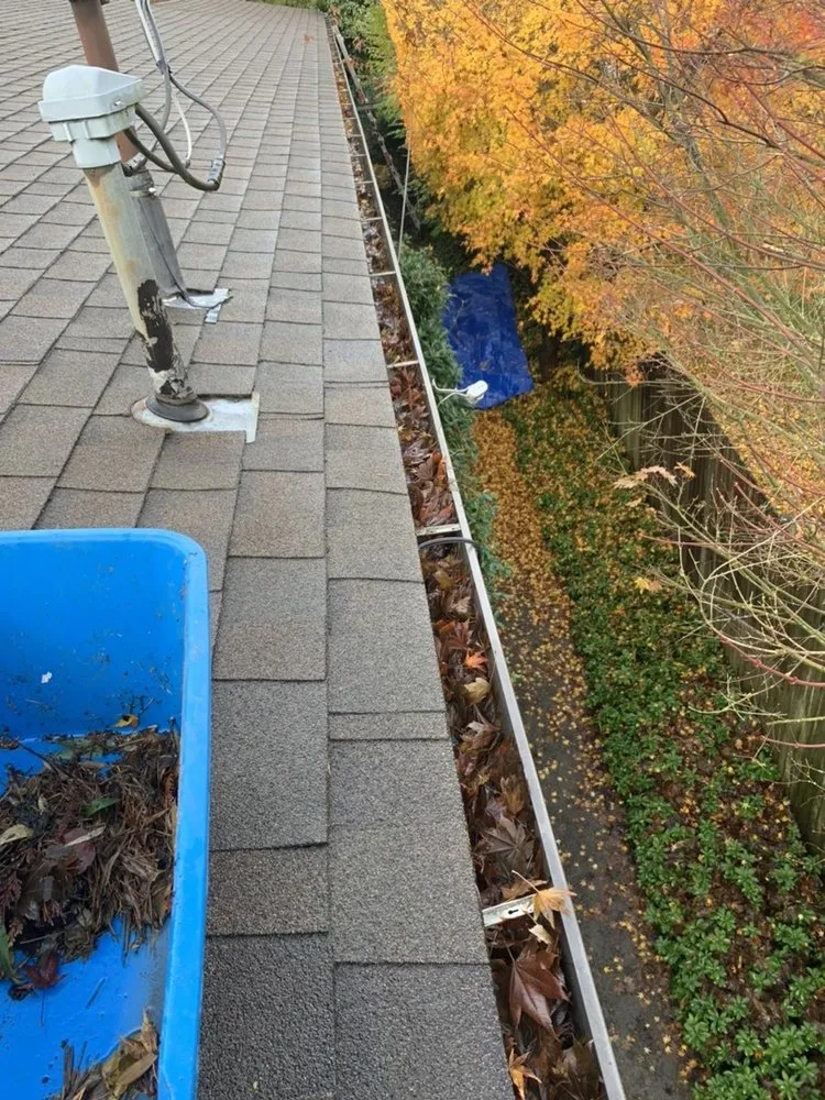 Slide of Johnny Tsunami