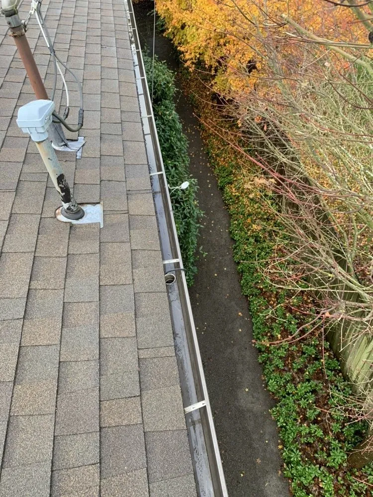 Slide of Johnny Tsunami