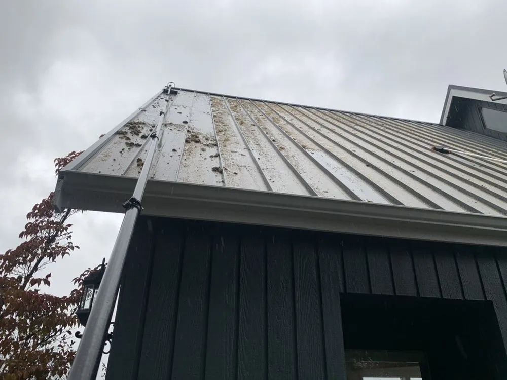 Slide of Johnny Tsunami