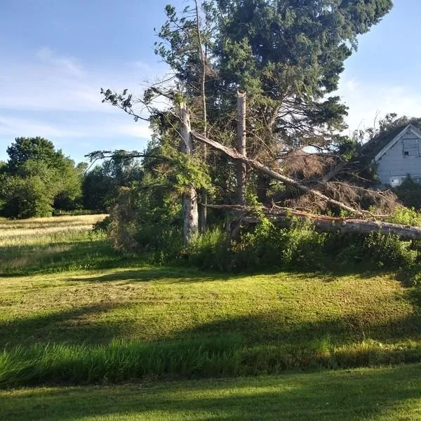 Slide of John's Tree Roofing and Construction