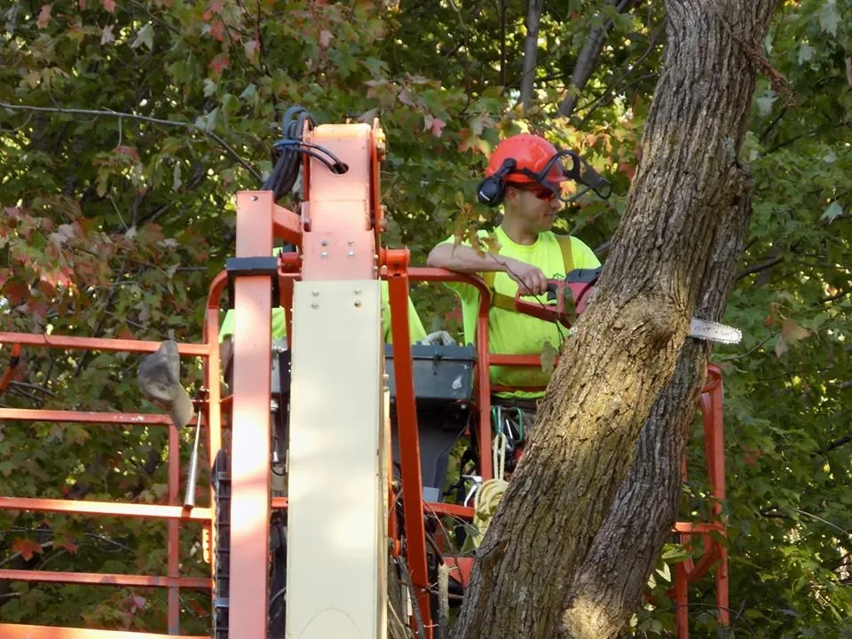 Slide of John's Tree Roofing and Construction
