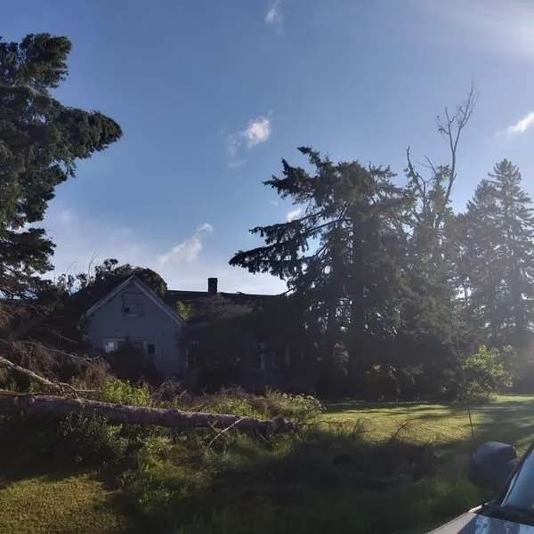 Slide of John's Tree Roofing and Construction