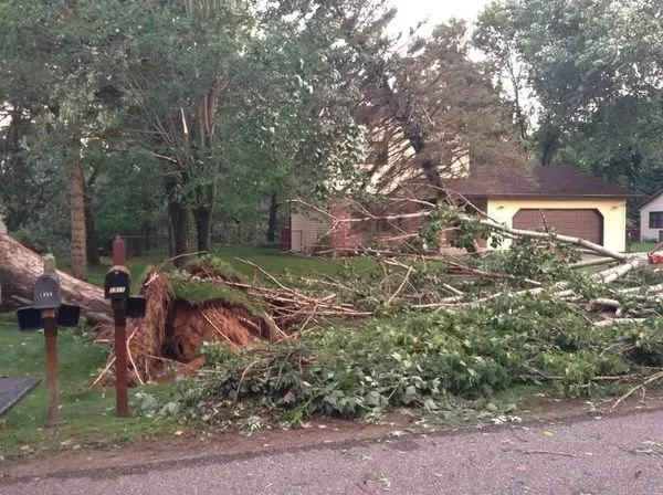 Slide of John's Tree Roofing and Construction