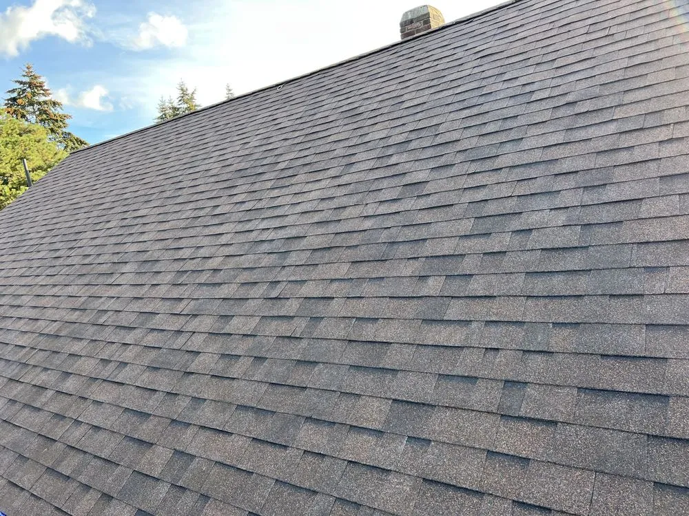 Trusted shingle roofing service in Chimacum, WA by Johnson Roofing And Exteriors