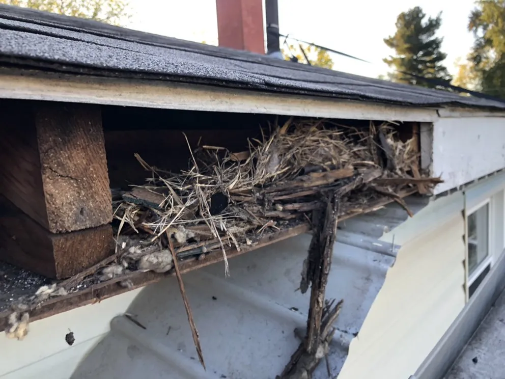 Slide of Johnson's Affordable Home Improvement